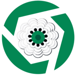 Beyond Srebrenica